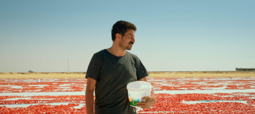 Türkiye’nin Oscar Adayı Belli Oldu: Hemme’nin Öldüğü Günlerden Biri